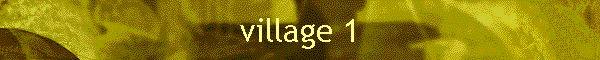 village 1