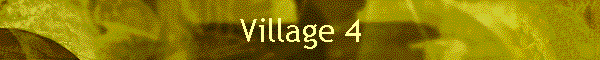 Village 4