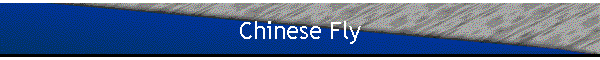 Chinese Fly