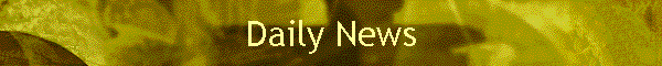 Daily News
