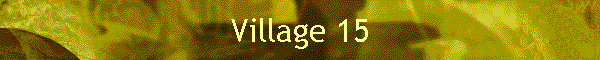 Village 15